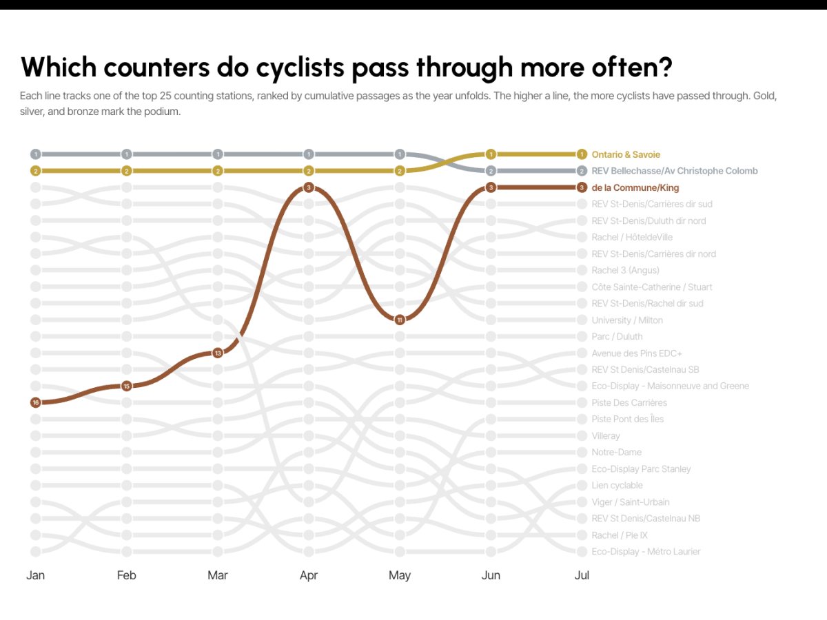 Detailed view of cycling trends and insights