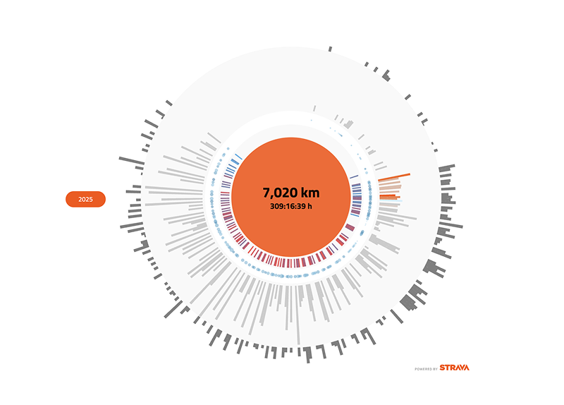 Activity explorer — detail metrics