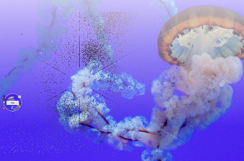 Color classification overview